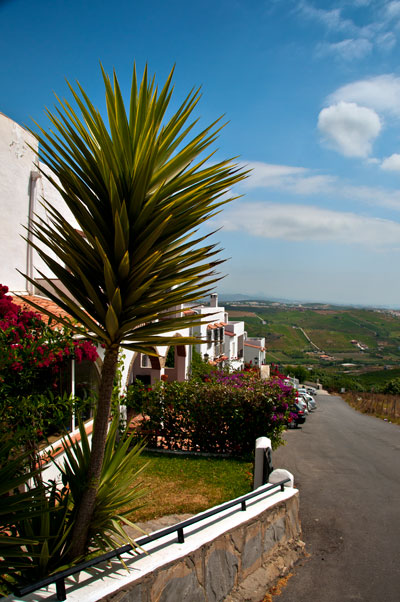 Monte Viñas Manilva 