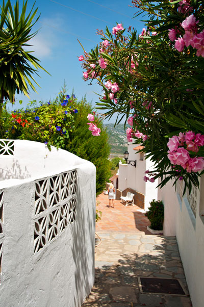 Monte Viñas, Manilva 