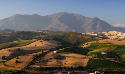 Monte Viñas, Manilva 