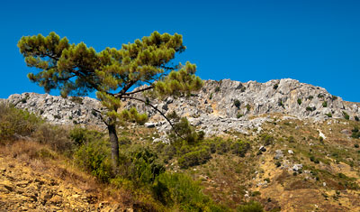 Mirador de los Castañares