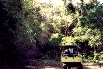 Utflykt i naturen, Puerto Vallarta