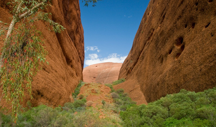 Valley of the winds, The Olgas