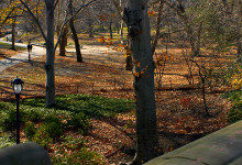 Central park, New York City