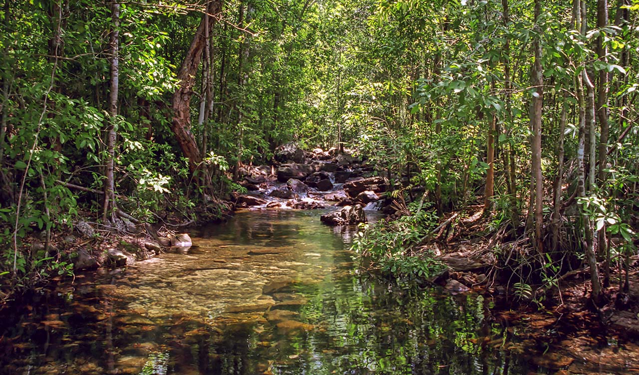 Shady Creek i Litchfield National Park, Northern Territory