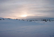 Vinterlandskap Þingvellir nationalpark, Tingvalla Island