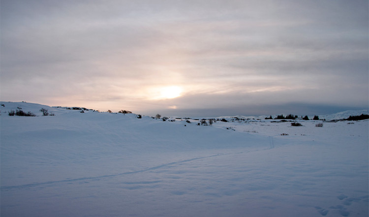 Vinterlandskap Þingvellir nationalpark, Tingvalla Island