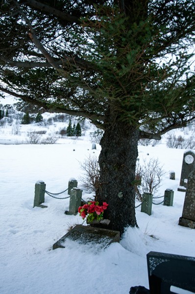 Þingvellir kyrkogård, Tingvalla Island