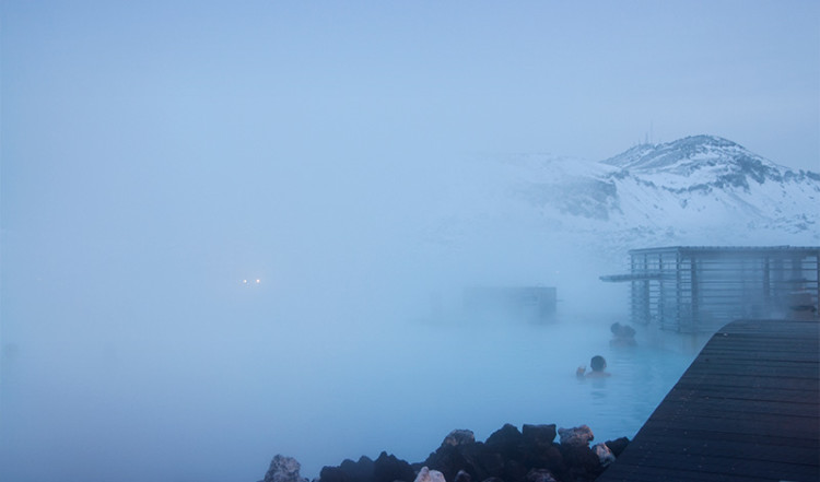 Baren i Blå Lagunen, Grindavík Island