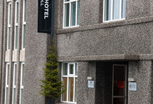 En liten gran vid entrén till Centerhotel Arnarhvoll, Reykjavik