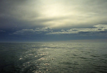 Vackra vyer under valsafari, Kaikoura, Nya Zeeland