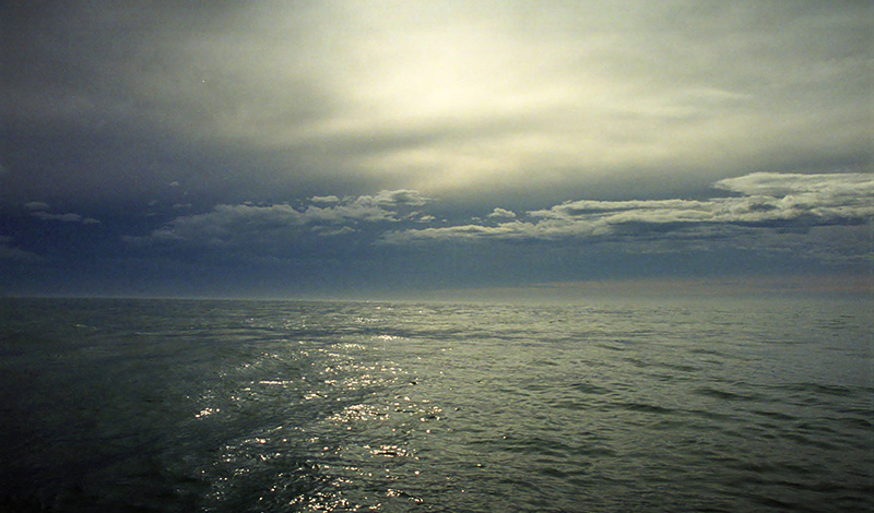 Vackra vyer under valsafari, Kaikoura, Nya Zeeland