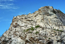 Naturvyer vid valsafari, Kaikoura, Nya Zeeland