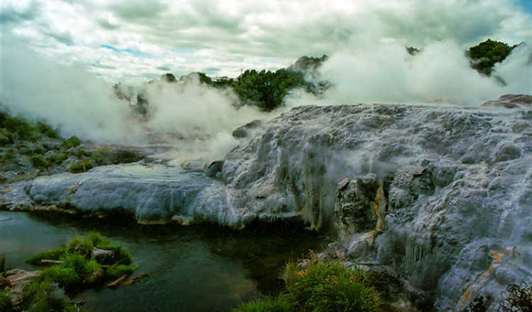 Prince of Wales' Feathers Geyser, Whakarewarewa Prince of Wales' Feathers Geyser, Whakarewarewa