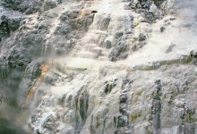 Prince of Wales' Feathers Geyser, Whakarewarewa