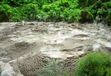 Ngamokaiakoko, Whakarewarewa