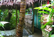 Byggnad på Seipepa i Apia, Samoa