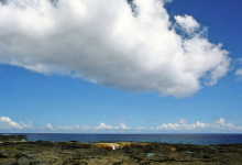 Klippor vid kusten Alofagaa, Savaii Samoa