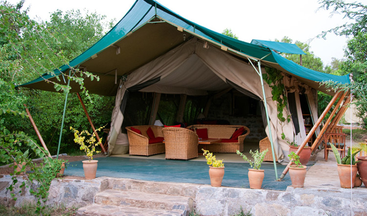 Tält med baren i JK Mara Camp, Masai Mara Kenya