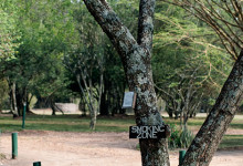 Rökruta på Mara Intrepid Camp, Masai Mara