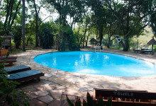 Poolen på Mara Intrepid Camp, Masai Mara Kenya