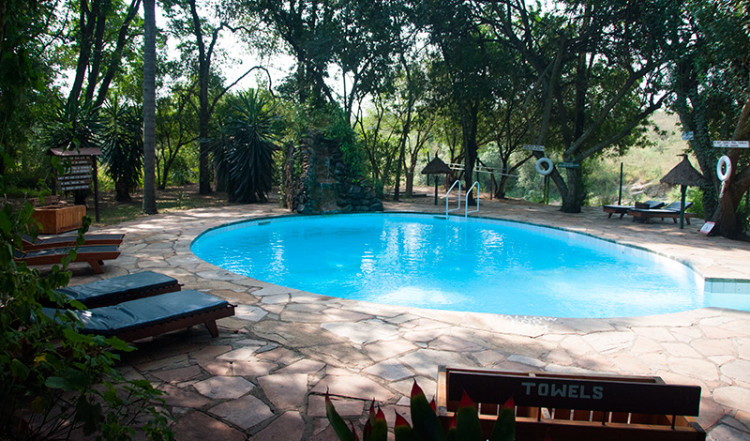 Poolen på Mara Intrepid Camp, Masai Mara Kenya Poolen på Mara Intrepid Camp, Masai Mara Kenya
