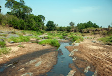 En uttorkad flod i Masai Mara, Kenya