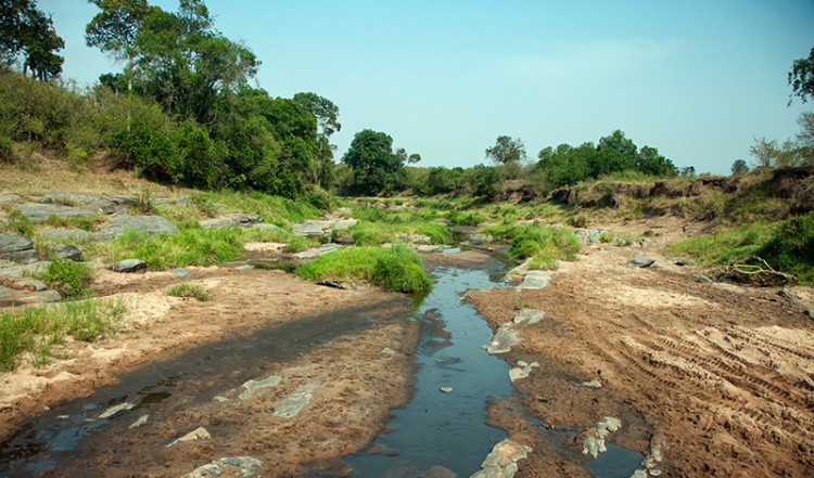 En uttorkad flod i Masai Mara, Kenya