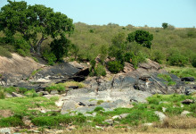 Landskap Masai Mara, Kenya