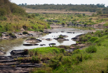 Lågt vatten i flod, Masai Mara, Kenya