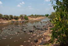 En flod i Masai Mara, Kenya
