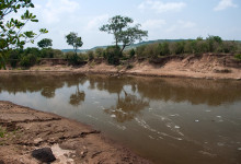 Flod i Masai Mara, Kenya