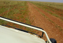 Off road driving i Masai Mara, Kenya