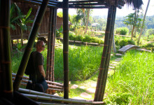 Bambu Indah från huvudbyggnaden, Ubud Bali