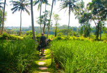 Ankomst till Bambu Indah, Ubud Bali