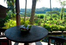 Utsikt från terassen på Padi House, Bambu Indah Ubud Bali