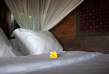 Blomma vid kudden, Padi House Bambu Indah Ubud Bali