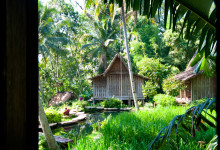 Utsikt från en fönsterlucka på Padi House, Bambu Indah Ubud