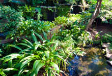 Grönska och vattendrag vid Bambu Indah, Ubud Bali