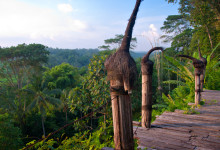 Vy från utsiktsplatsen på Bambu Indah, Ubud Bali