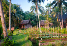 En trädgård bland palmer och risodlingar, Bambu Indah Ubud