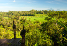 Utsikt från Bambu Indah över risfälten på andra sidan Ayung floden, Ubud