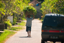 Livet längs Banjar Baung i Sayan, västra Ubud Bali