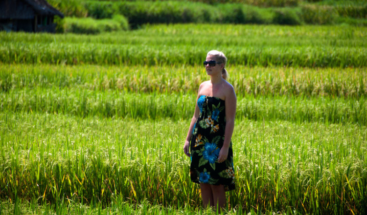 Anki i risfälten vid Tukad Ubud, Bali Anki i risfälten vid Tukad Ubud, Bali