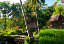 Sen eftermiddags sol över Bambu Indah, Ubud