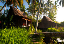 Sen eftermiddag vid Padi House och omgivningarna, Bambu Indah, Ubud