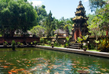 En stor damm med fiskar, Pura Tirtha Empul, Bali