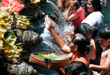 Familjer med barn i Purifying pool, Pura Tirtha Empul, Bali