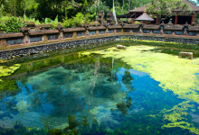 En bassäng med alger och märkliga färger, Pura Tirtha Empul, Bali