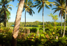 Morgon vid Bambu Indah, Ubud Bali