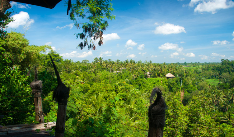 Utsikt vid Bambu Indah, Ubud Bali